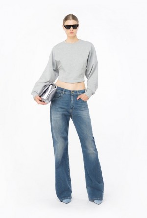 Pinko Cropped Sweatshirt DRIZZLE GREY | SN-PKO33460