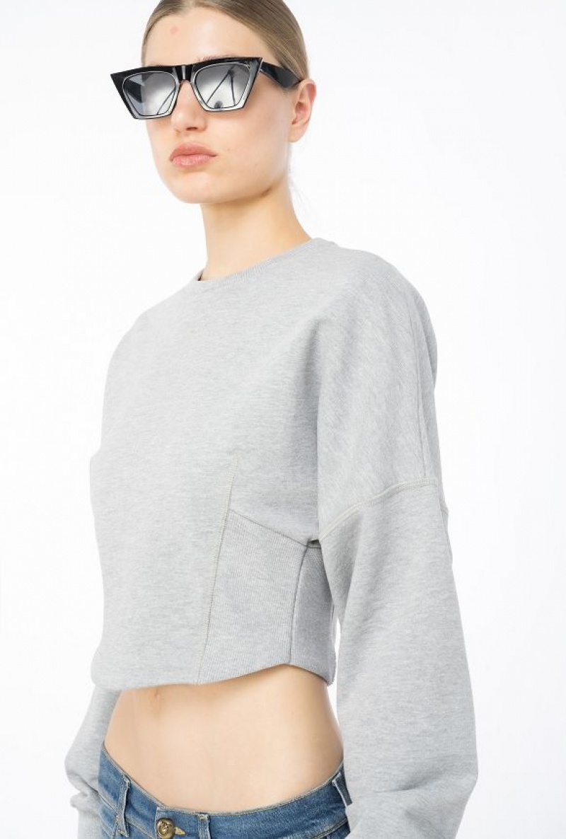 Pinko Cropped Sweatshirt DRIZZLE GREY | SN-PKO33460