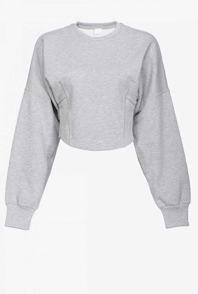 Pinko Cropped Sweatshirt DRIZZLE GREY | SN-PKO33460