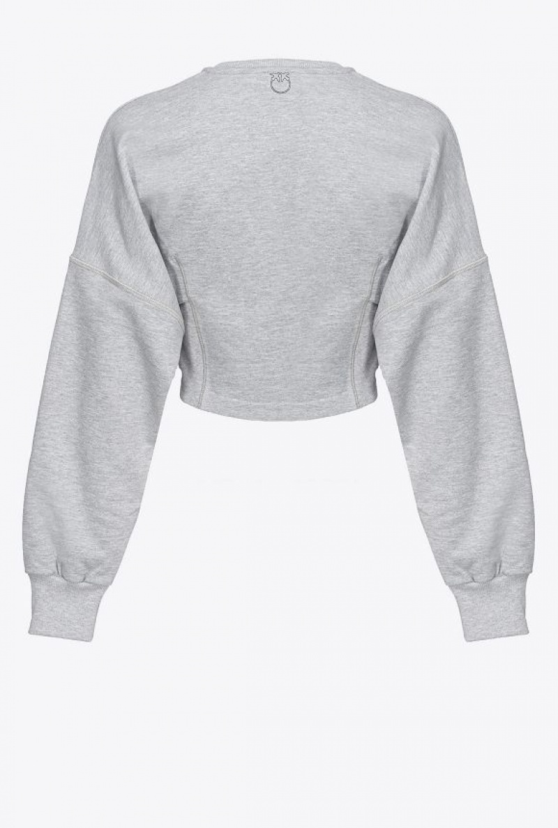 Pinko Cropped Sweatshirt DRIZZLE GREY | SN-PKO33460