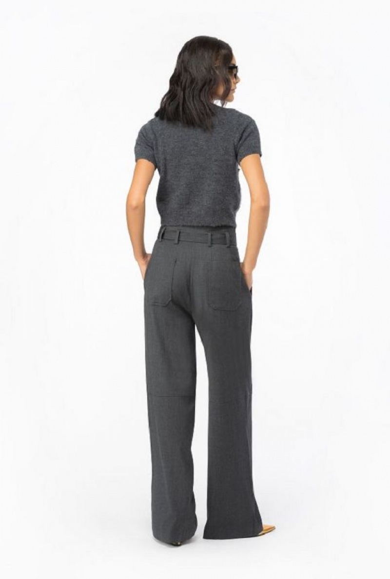 Pinko Flannel Trousers With Belt DARK GREY | SN-PKO33790