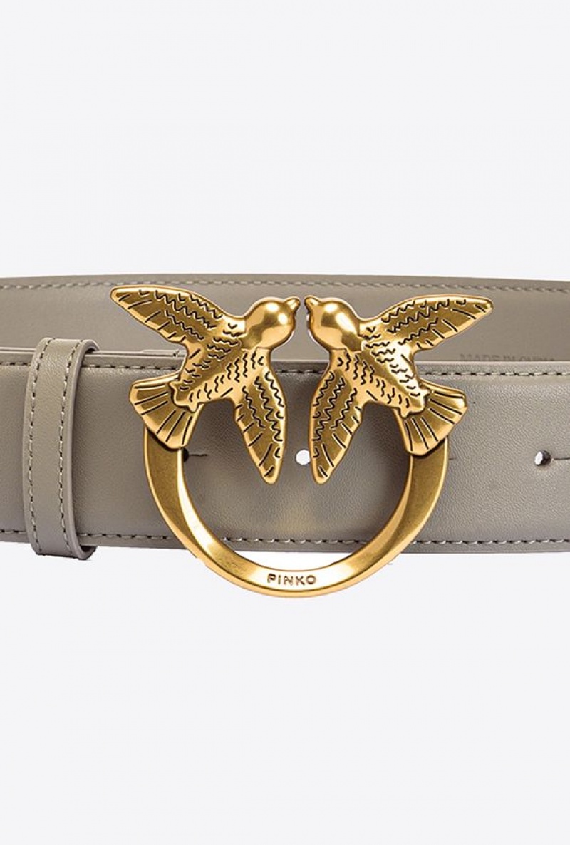 Pinko Love Birds High Leather Belt 4cm WALNUT-ANTIQUE GOLD | SN-PKO34168