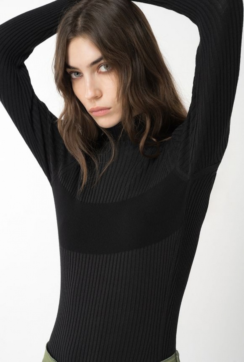 Pinko Ribbed Knit Turtleneck LIMO BLACK | SN-PKO33392