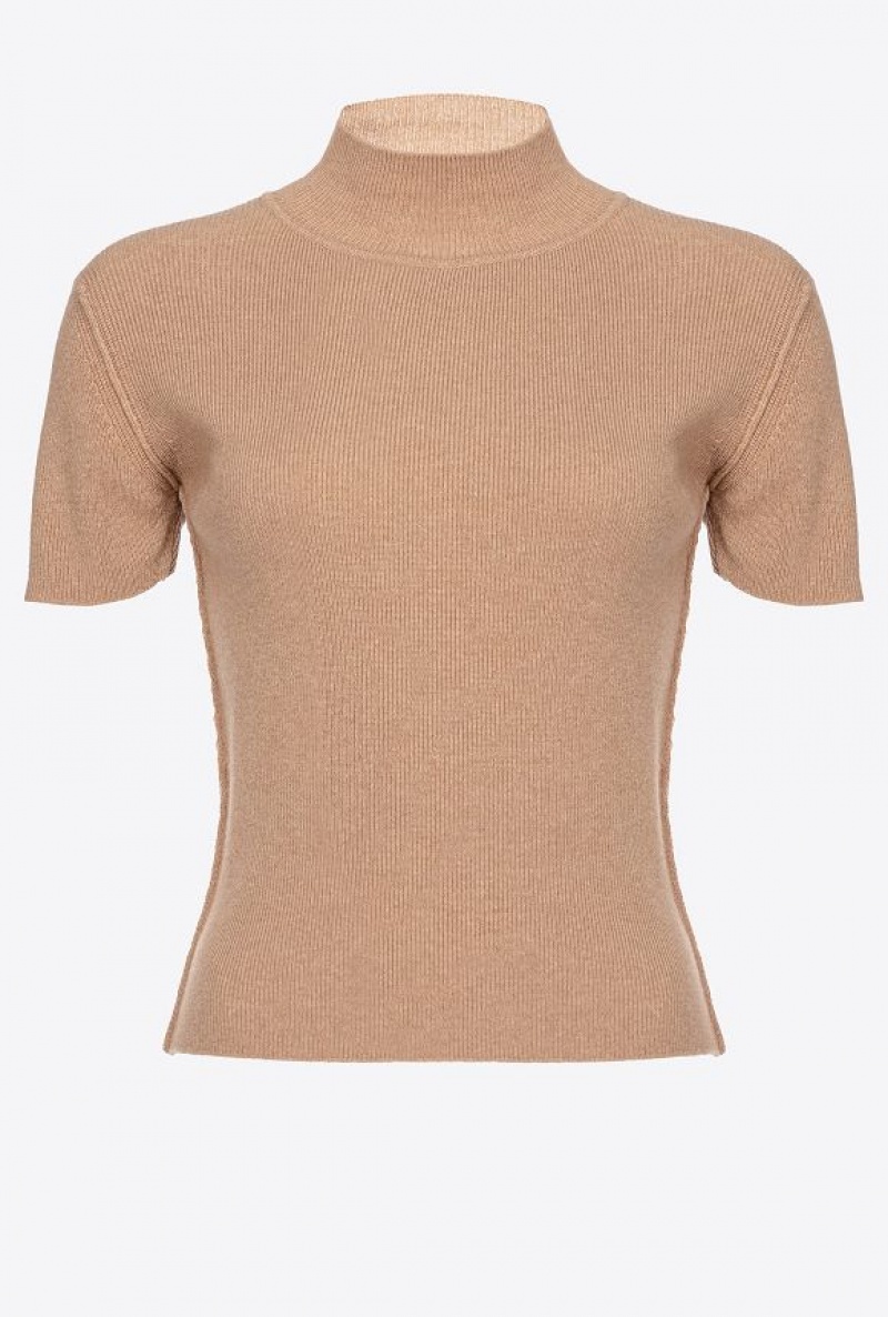 Pinko Ribbed Wool And Cashmere Sweater TANNIN BEIGE | SN-PKO33958